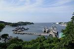 Dcim7940/DSC_4369