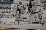 Dcim7940/DSC_4395