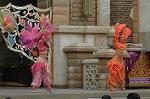 Dcim7944/DSC_1076