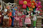 Dcim7944/DSC_1115