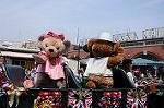 Dcim7945/DSC_4486