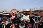 Dcim7945/DSC_4487