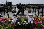Dcim7945/DSC_4545