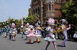 Dcim7948/DSC_4855