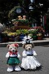Dcim7948/DSC_4893