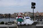 Dcim7948/DSC_4940