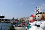 Dcim7949/DSC_4997