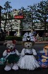 Dcim7949/DSC_5034