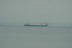 Dcim7962/DSC_1382