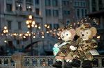 Dcim7963/DSC_1541