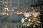 Dcim7963/DSC_1543