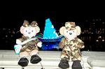 Dcim7963/DSC_1608