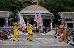 Dcim7964/DSC_6704