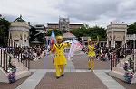 Dcim7964/DSC_6711