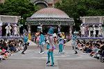 Dcim7965/DSC_6746