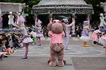 Dcim7965/DSC_6812