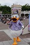 Dcim7965/DSC_6858