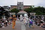 Dcim7965/DSC_6867