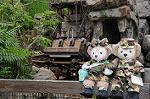 Dcim7968/DSC_7270