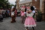Dcim7968/DSC_7288