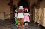 Dcim7968/DSC_7334