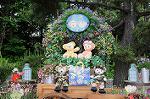 Dcim7969/DSC_7506