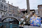 Dcim7970/DSC_7560