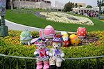 Dcim7974/DSC_7850