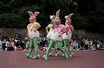 Dcim7975/DSC_8044