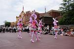 Dcim7976/DSC_8156
