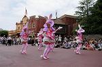 Dcim7976/DSC_8157