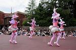 Dcim7976/DSC_8161