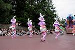 Dcim7976/DSC_8163