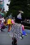 Dcim7976/DSC_8291