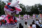 Dcim7977/DSC_8340