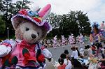 Dcim7977/DSC_8342