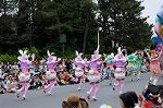 Dcim7977/DSC_8343