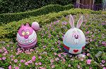 Dcim7977/DSC_8403