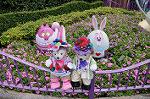 Dcim7977/DSC_8404