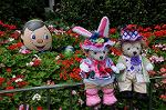 Dcim7977/DSC_8426