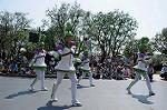 Dcim7979/DSC_8689