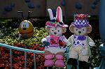 Dcim7980/DSC_8836