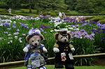 Dcim8012/DSC_2705