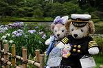 Dcim8012/DSC_2732