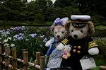 Dcim8012/DSC_2734