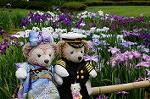Dcim8012/DSC_2741