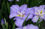 Dcim8012/DSC_2755