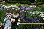 Dcim8012/DSC_2788