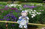 Dcim8012/DSC_2805
