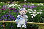 Dcim8012/DSC_2807